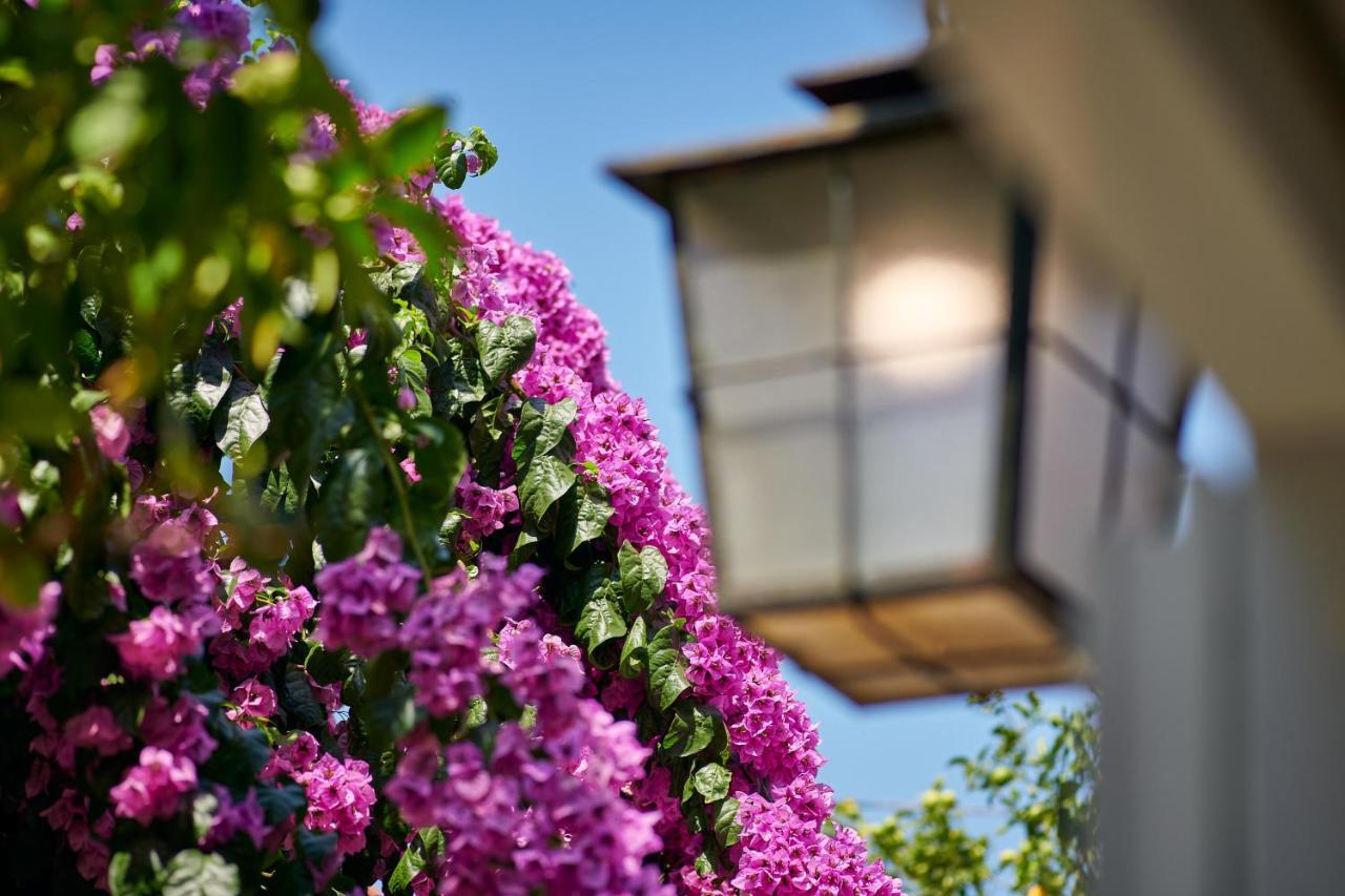 Villa Magnolia Cavtat Buitenkant foto